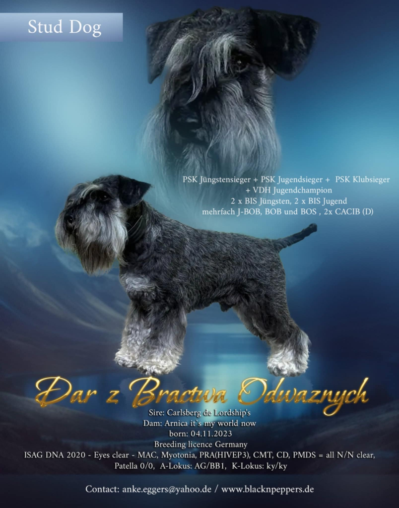 Messenger_creation_25A47347-E98A-4AFD-86BE-73305915A9C6